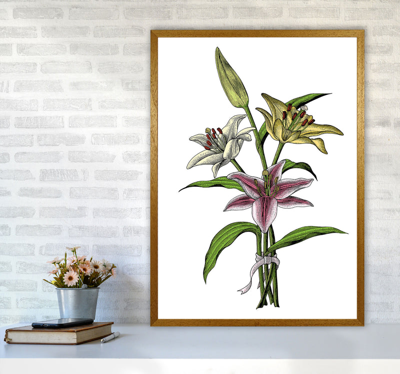 Vintage Lilly Illustration Art Print by Jason Stanley A1 Print Only