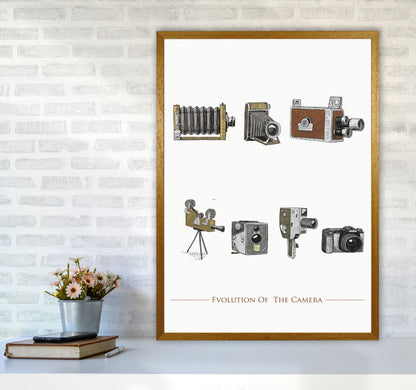 Evolution Of The Camera Art Print by Jason Stanley A1 Print Only