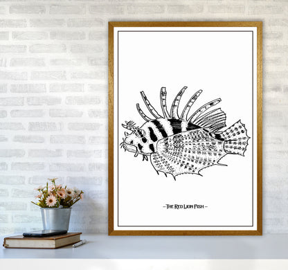 The Red Lion Fish Art Print by Jason Stanley A1 Print Only