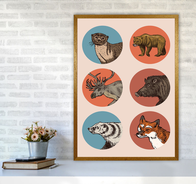 Animal Circles II Art Print by Jason Stanley A1 Print Only