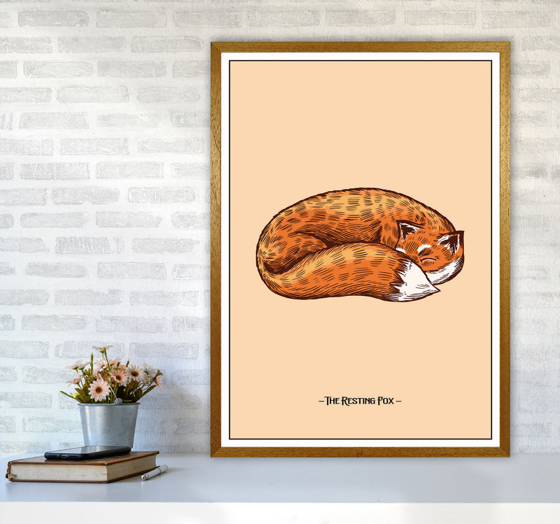 The Resting Fox Art Print by Jason Stanley A1 Print Only