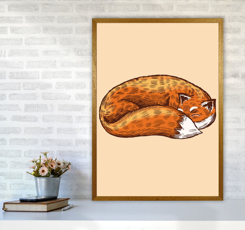 The Sleeping Fox Art Print by Jason Stanley A1 Print Only