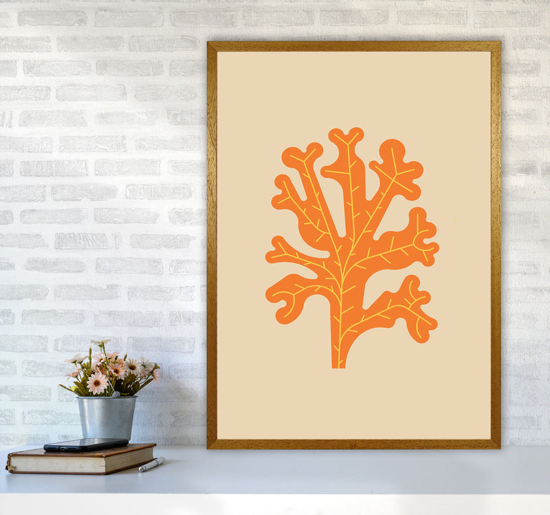 Orange Seaweed Art Print by Jason Stanley A1 Print Only