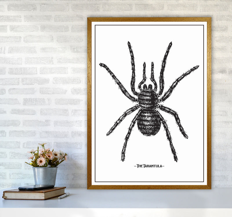 The Tarantula Art Print by Jason Stanley A1 Print Only