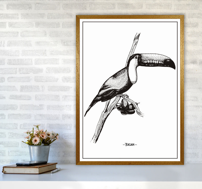 Tucan Art Print by Jason Stanley A1 Print Only
