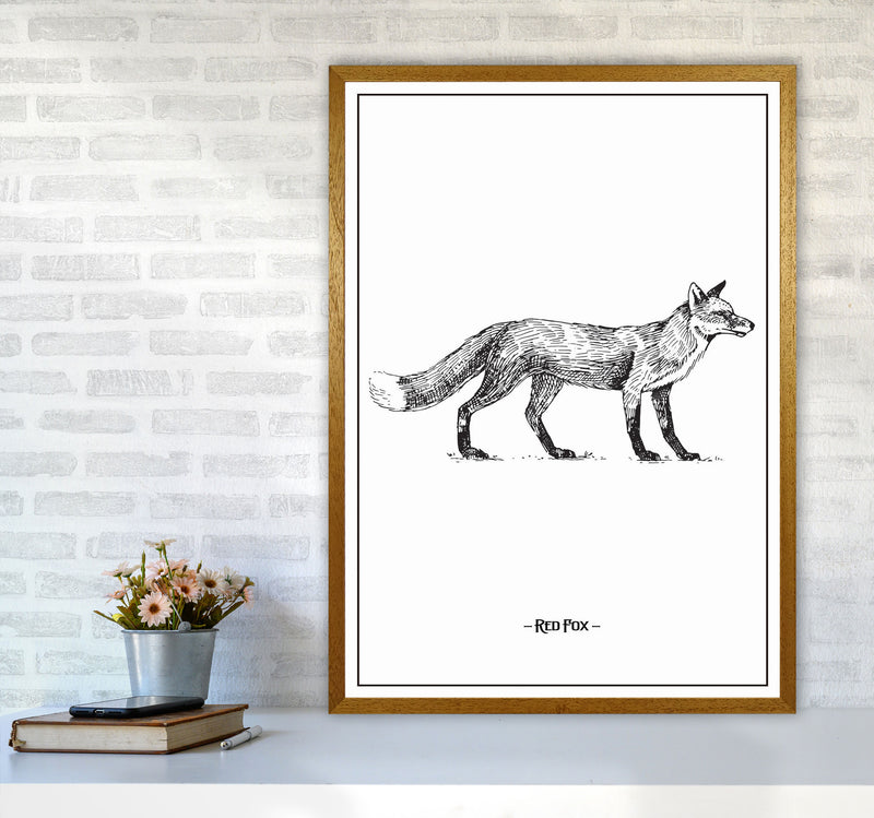 Red Fox Art Print by Jason Stanley A1 Print Only