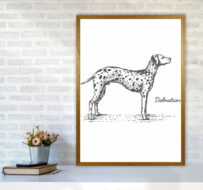 Dalmation Art Print by Jason Stanley A1 Print Only