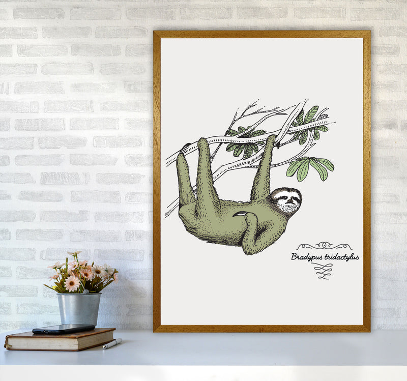 Sloth Art Print by Jason Stanley A1 Print Only