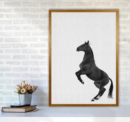 The Dark Horse Rides At Night #2 Art Print by Jason Stanley A1 Print Only