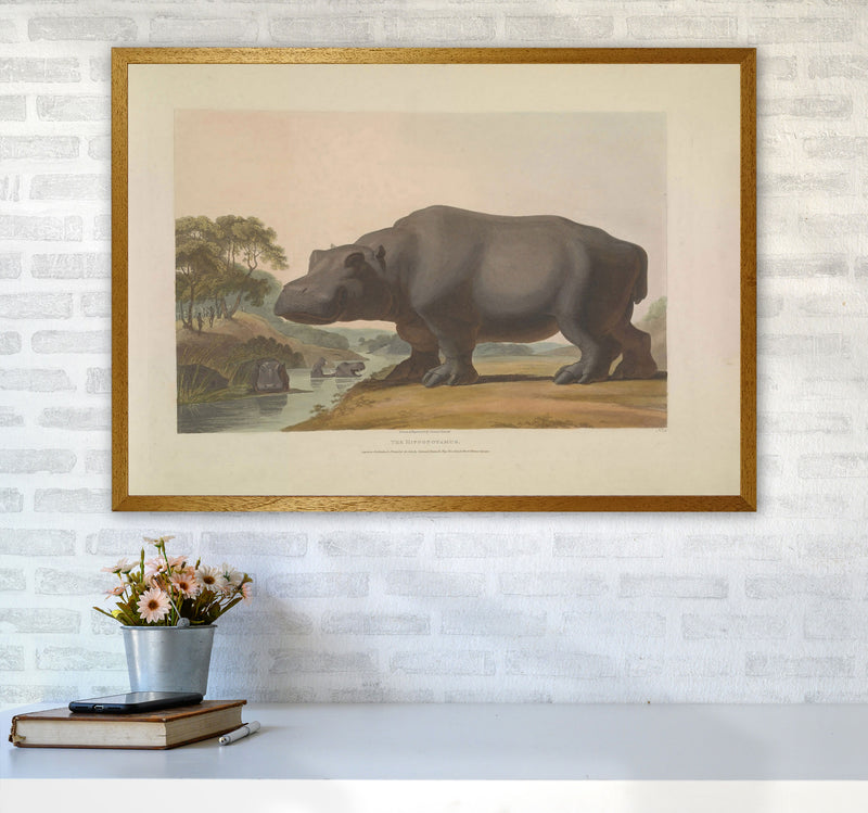 Vintage Hippo Illustration Art Print by Jason Stanley A1 Print Only