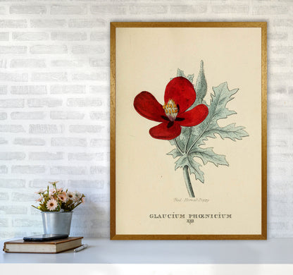 Vintage Flower Series 2 Art Print by Jason Stanley A1 Print Only