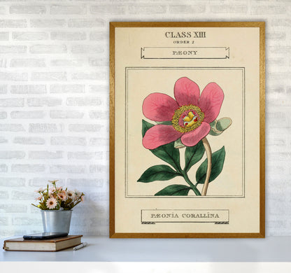 Vintage Flower Series 6 Art Print by Jason Stanley A1 Print Only