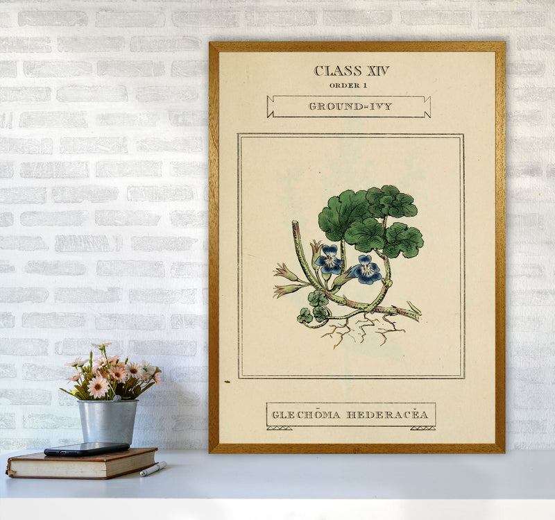 Vintage Flower Series 8 Art Print by Jason Stanley A1 Print Only