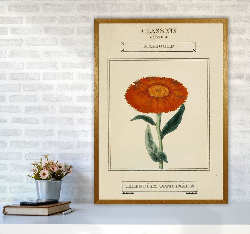 Vintage Flower Series 9 Art Print by Jason Stanley A1 Print Only