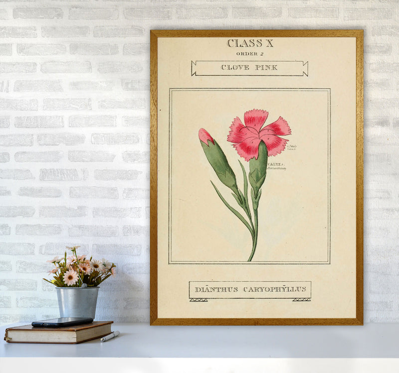 Vintage Flower Series 4 Art Print by Jason Stanley A1 Print Only