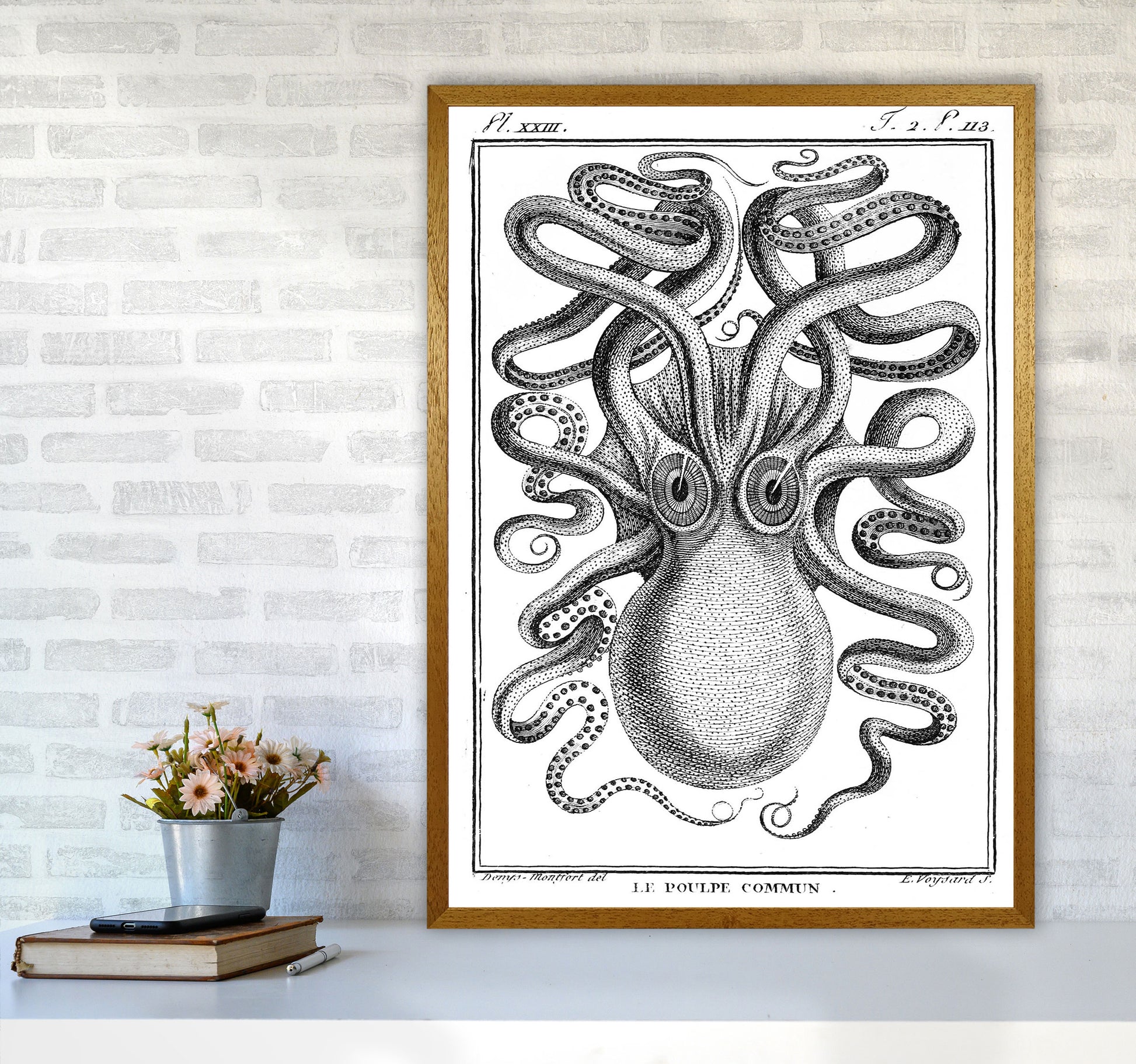 White Vintage Octopus Art Print by Jason Stanley A1 Print Only