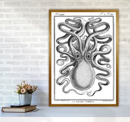 White Vintage Octopus Art Print by Jason Stanley A1 Print Only