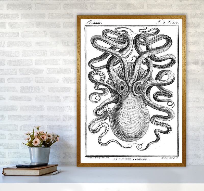 White Vintage Octopus Art Print by Jason Stanley A1 Print Only