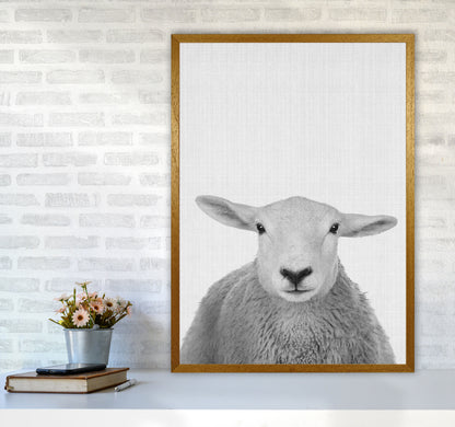 Trust This Wise Sheep Art Print by Jason Stanley A1 Print Only