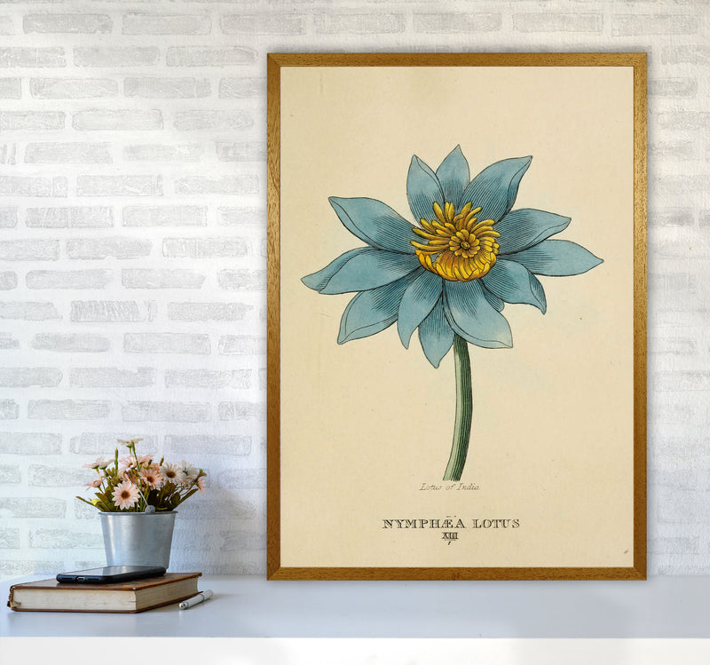 Vintage Lotus Flower Art Print by Jason Stanley A1 Print Only