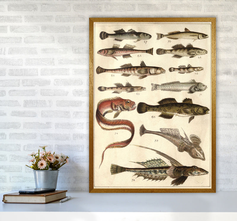 Creatures Of The Sea Art Print by Jason Stanley A1 Print Only
