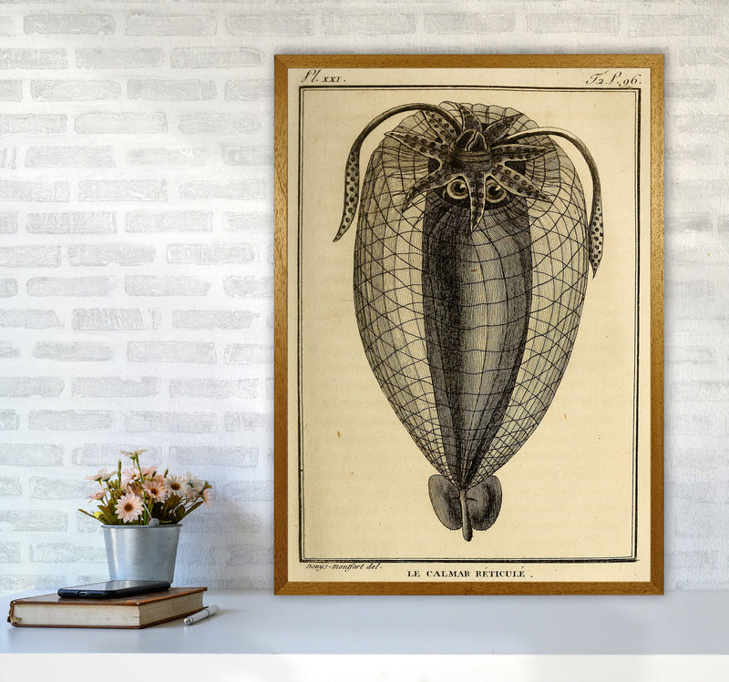 Vintage Squid 4 Art Print by Jason Stanley A1 Print Only