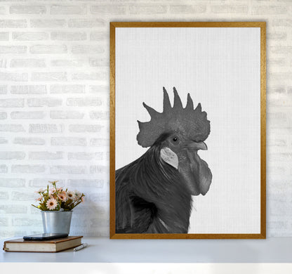 Cock A Doodle Doo Art Print by Jason Stanley A1 Print Only
