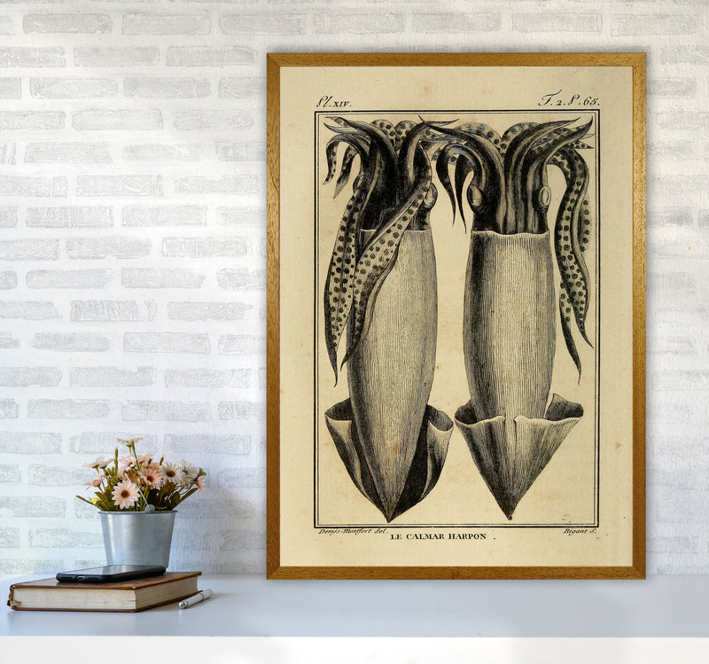 Vintage Squid 5 Art Print by Jason Stanley A1 Print Only