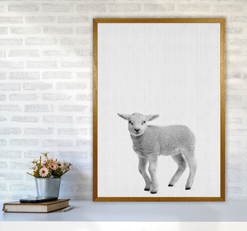Lamb Art Print by Jason Stanley A1 Print Only