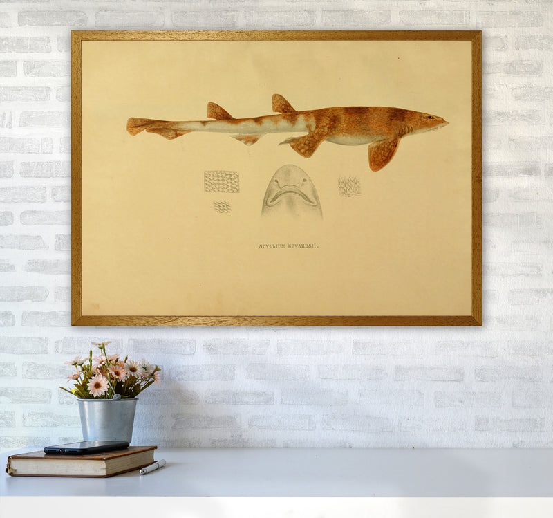Shark Series 1 Art Print by Jason Stanley A1 Print Only
