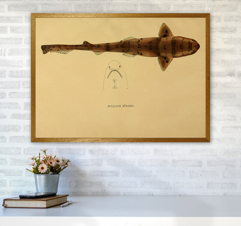Shark Series 2 Art Print by Jason Stanley A1 Print Only