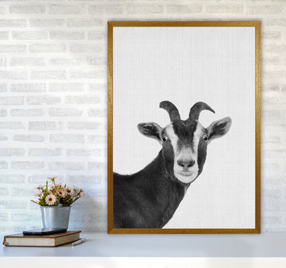 Surprised Goat Art Print by Jason Stanley A1 Print Only