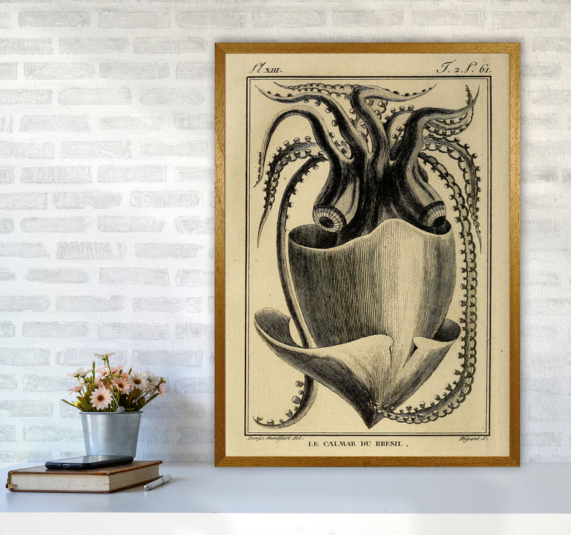 Vintage Squid Art Print by Jason Stanley A1 Print Only