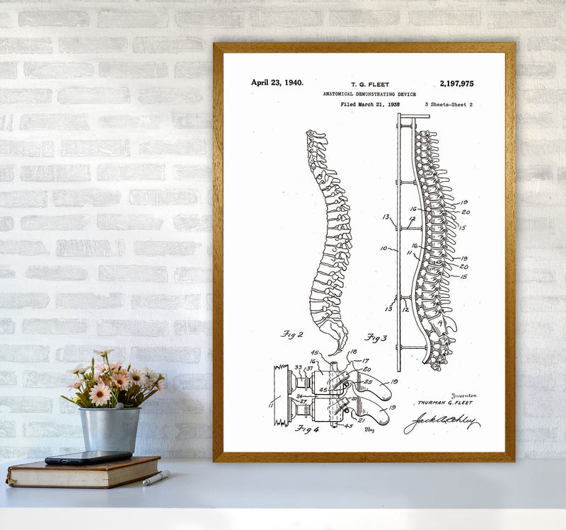 Anatomical Spine Display Patent Art Print by Jason Stanley A1 Print Only