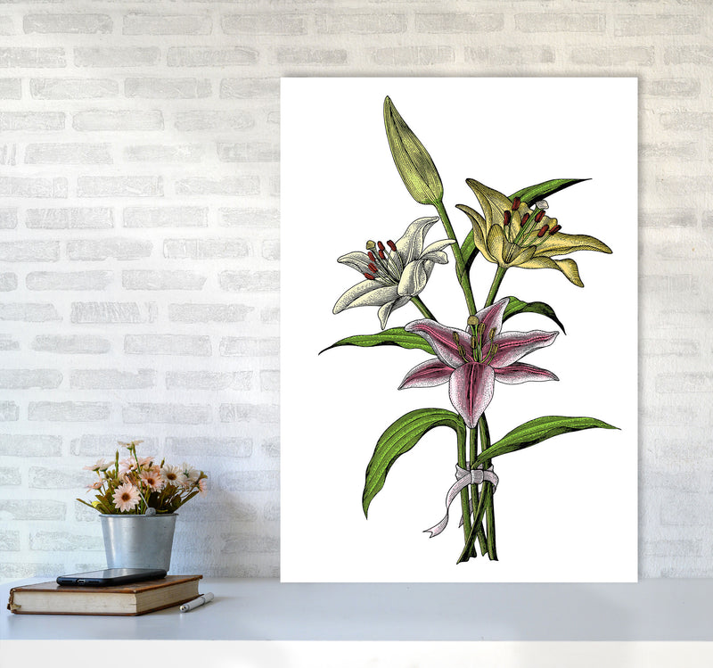 Vintage Lilly Illustration Art Print by Jason Stanley A1 Black Frame