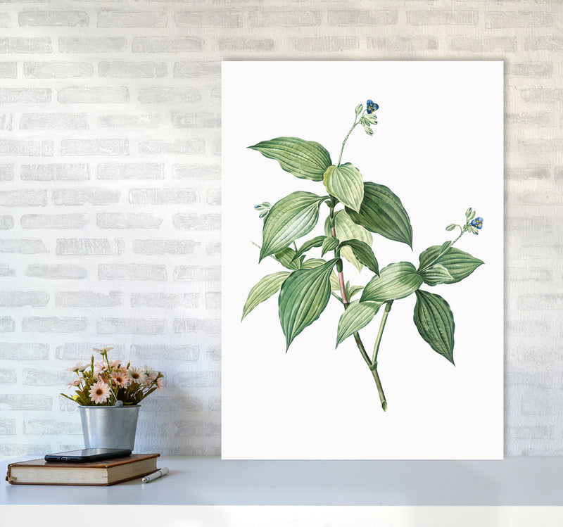 Vintage Botanical Plant Art Print by Jason Stanley A1 Black Frame