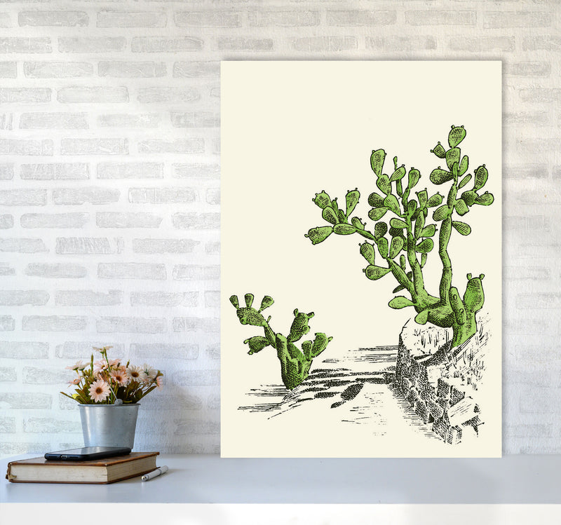 Prickly Pear Cactus Art Print by Jason Stanley A1 Black Frame
