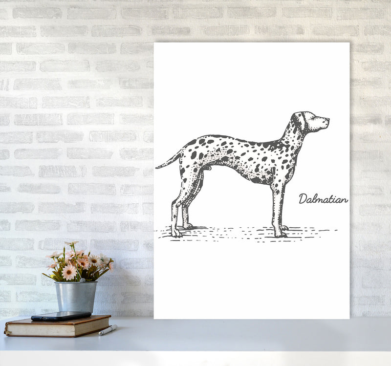 Dalmation Art Print by Jason Stanley A1 Black Frame