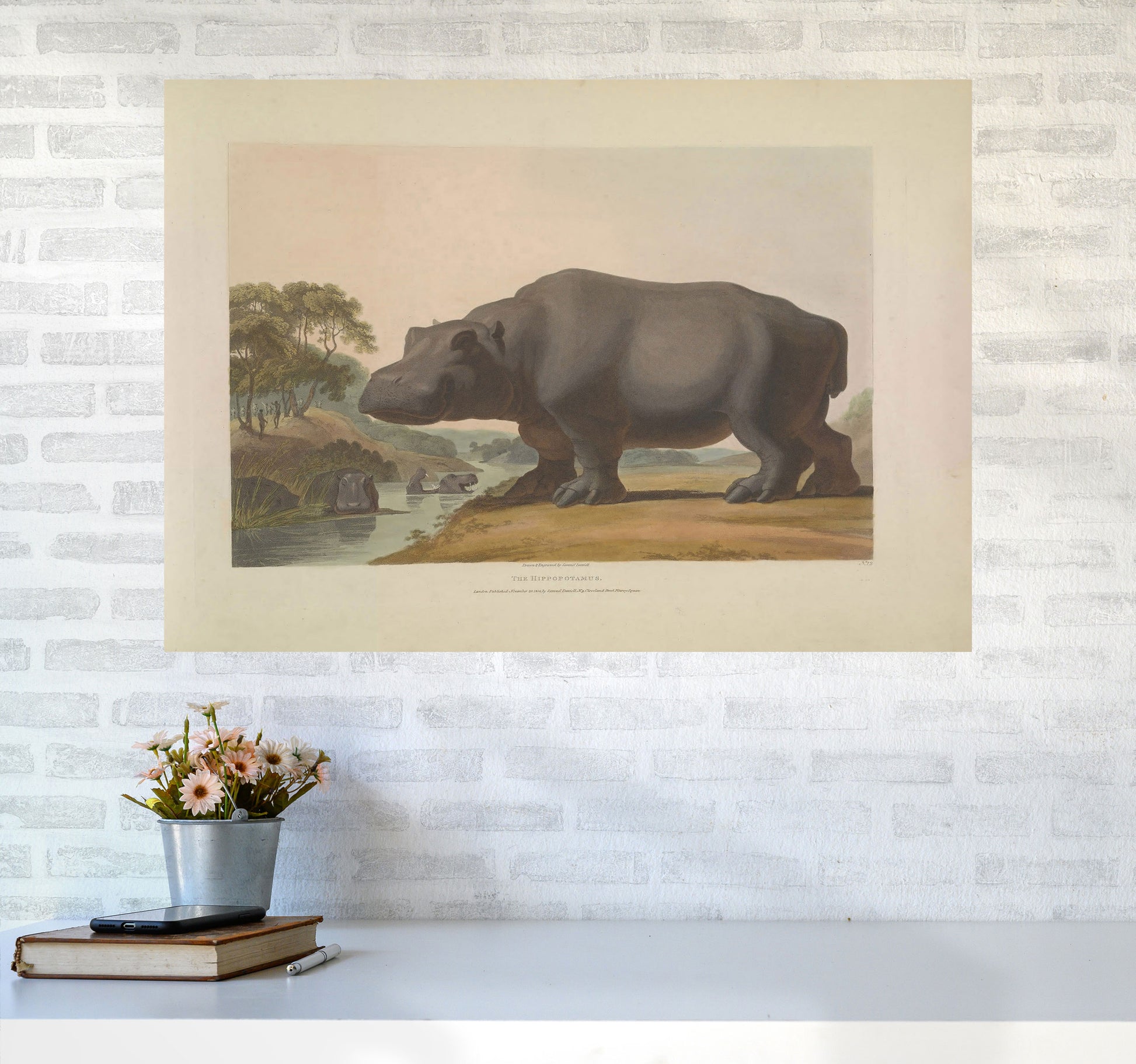 Vintage Hippo Illustration Art Print by Jason Stanley A1 Black Frame