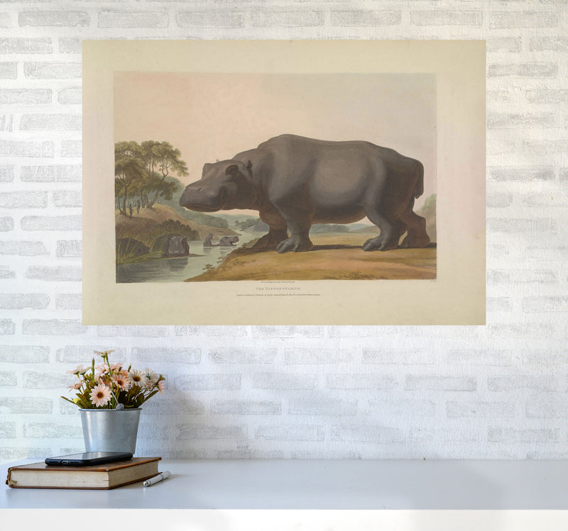 Vintage Hippo Illustration Art Print by Jason Stanley A1 Black Frame