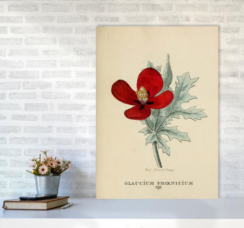 Vintage Flower Series 2 Art Print by Jason Stanley A1 Black Frame