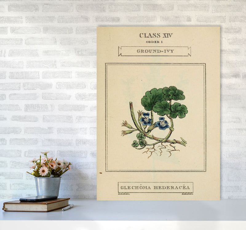 Vintage Flower Series 8 Art Print by Jason Stanley A1 Black Frame