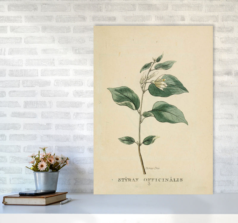 Vintage Flower Series 1 Art Print by Jason Stanley A1 Black Frame
