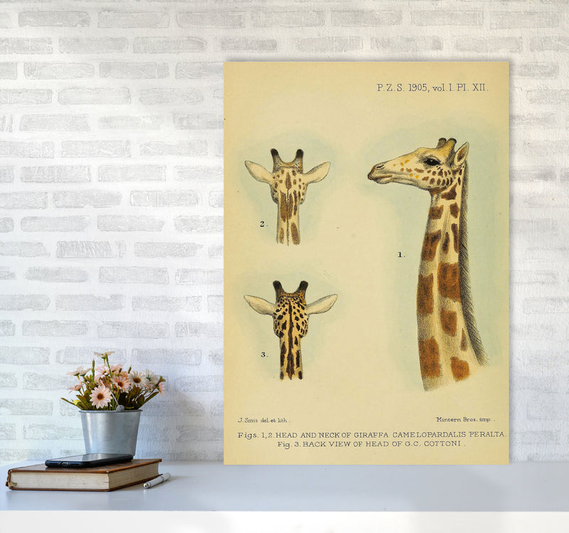 Longest Neck In The Jungle Art Print by Jason Stanley A1 Black Frame