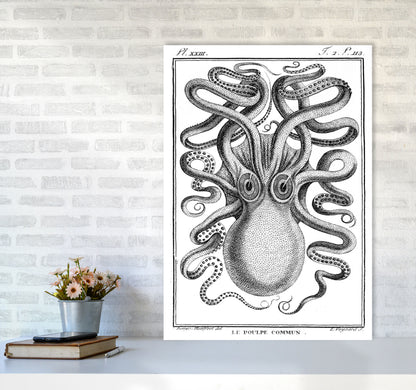 White Vintage Octopus Art Print by Jason Stanley A1 Black Frame