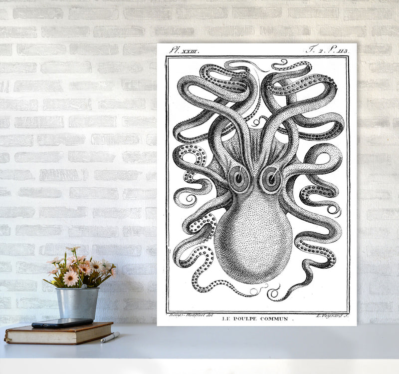 White Vintage Octopus Art Print by Jason Stanley A1 Black Frame