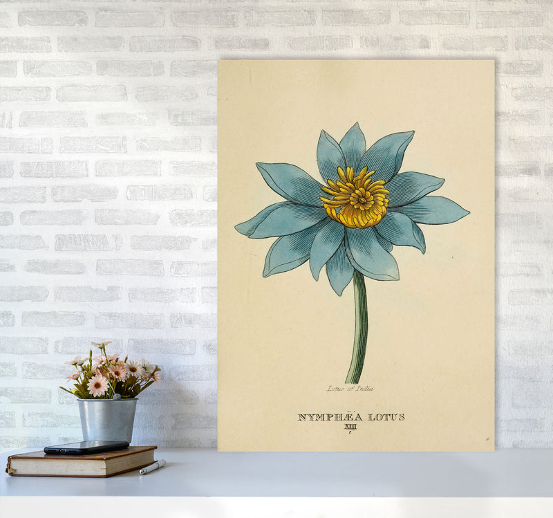Vintage Lotus Flower Art Print by Jason Stanley A1 Black Frame