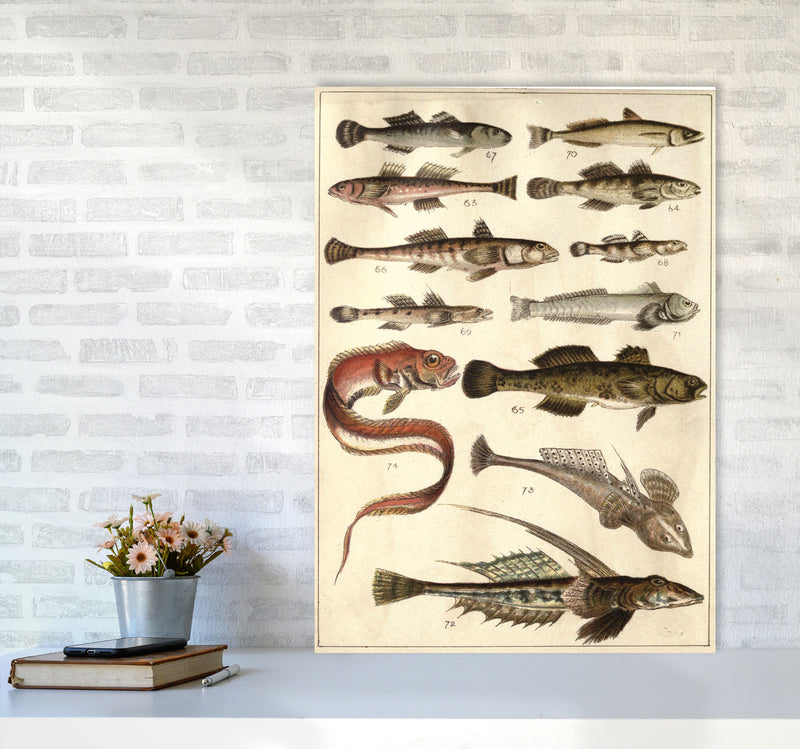Creatures Of The Sea Art Print by Jason Stanley A1 Black Frame