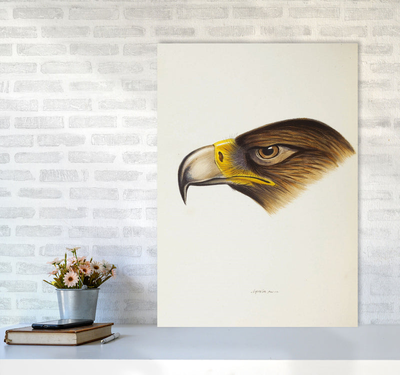 Vintage Eagle Face Art Print by Jason Stanley A1 Black Frame