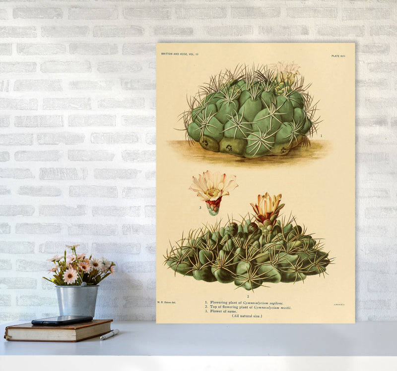 Cactus Series 12 Art Print by Jason Stanley A1 Black Frame